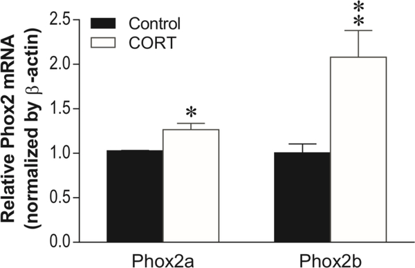 Figure 7: