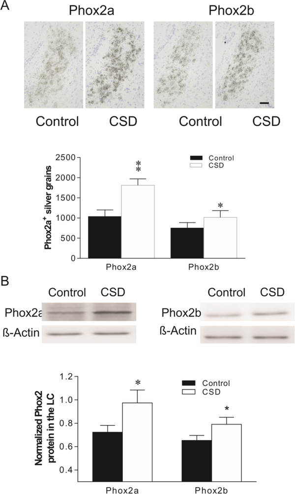 Figure 3: