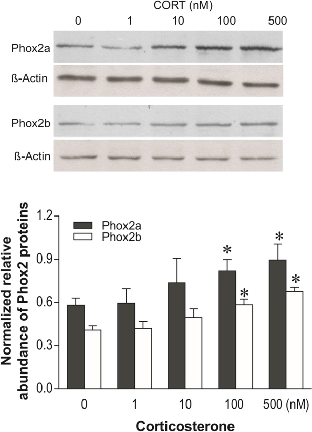 Figure 6: