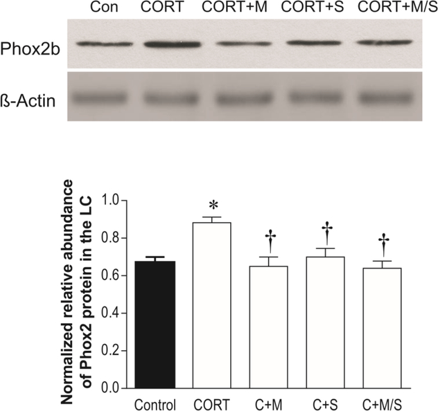 Figure 5: