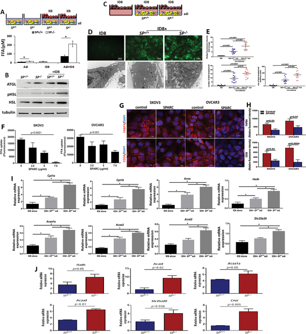 Figure 6: