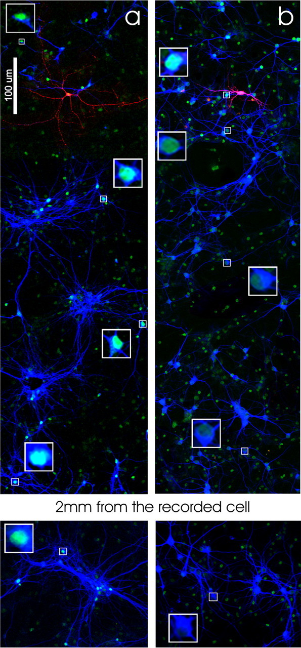 Figure 10.