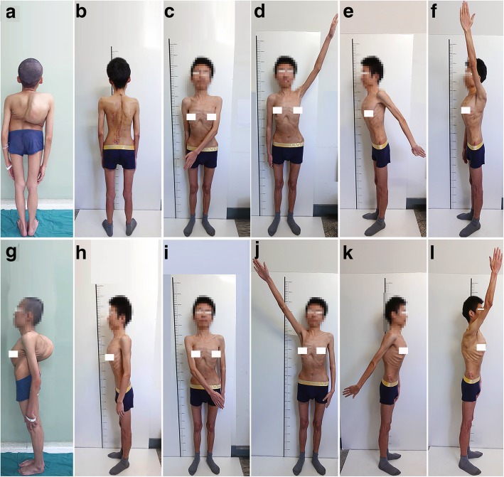 Fig. 6