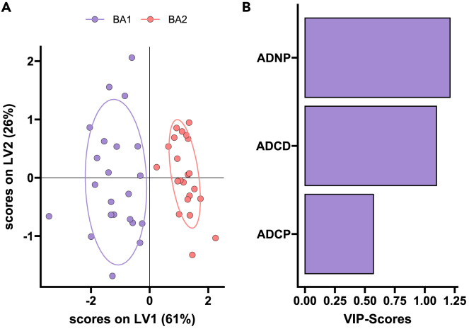 Figure 4