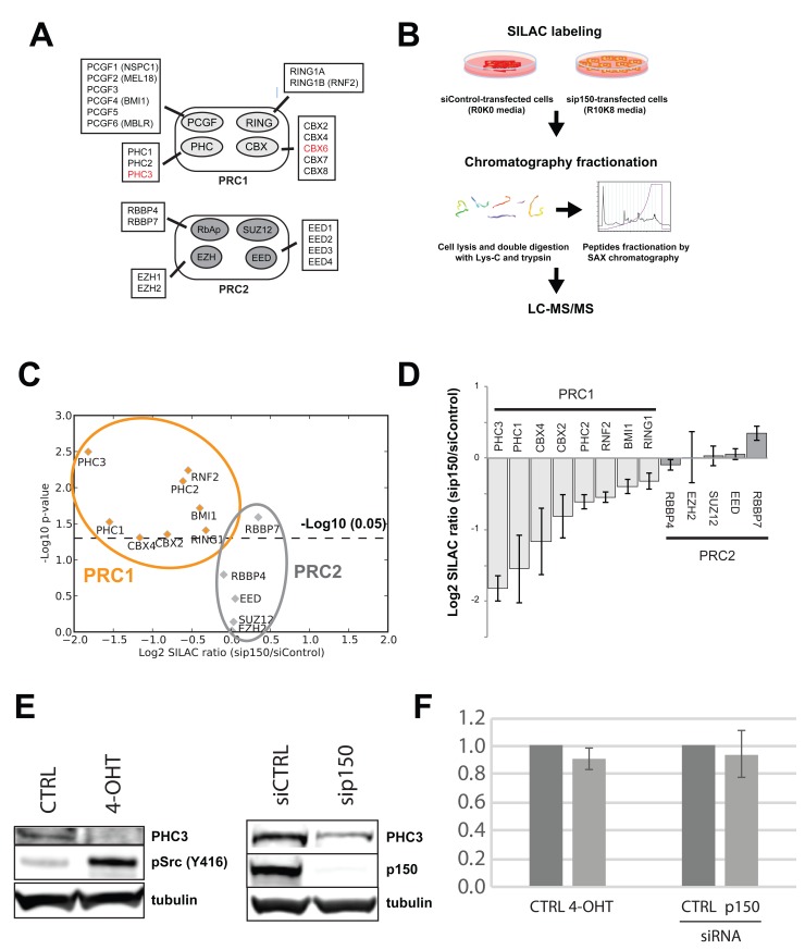 Figure 15. 