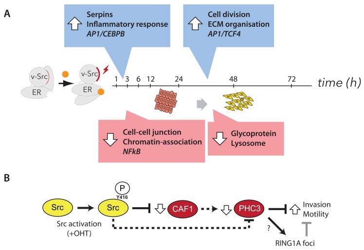 Figure 23. 