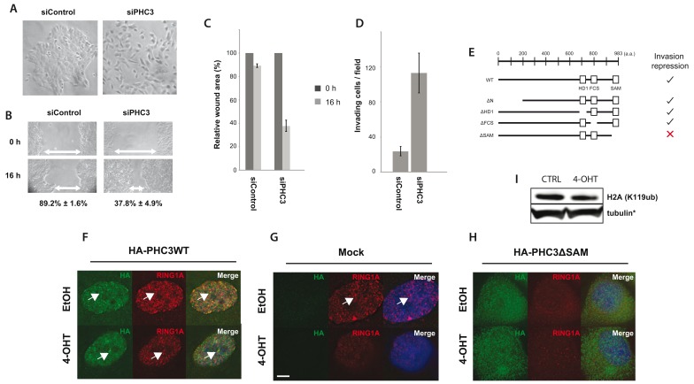 Figure 16. 