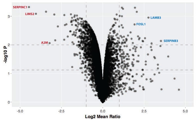 Figure 10. 