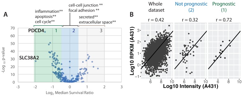 Figure 20. 