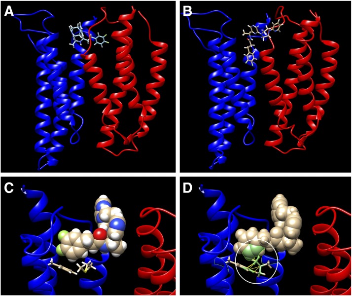 Fig. 11.