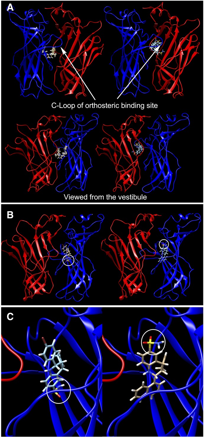 Fig. 10.