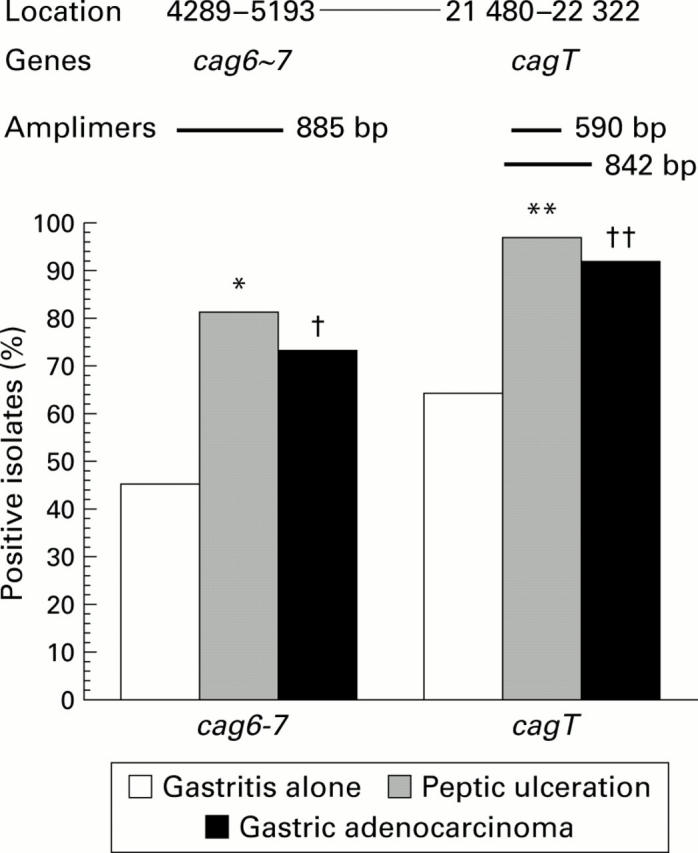 Figure 3  