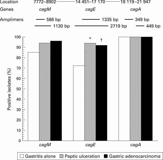 Figure 2  