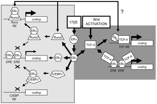 Fig. 10