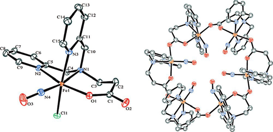 Figure 13