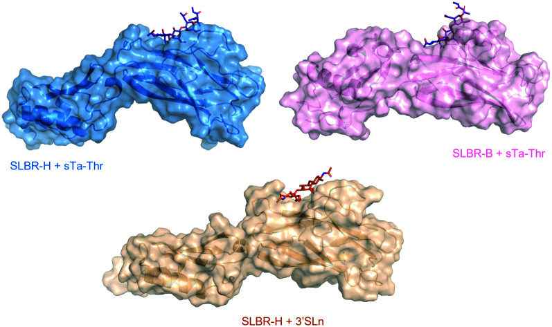 graphic file with name d1cb00173f-ga.jpg