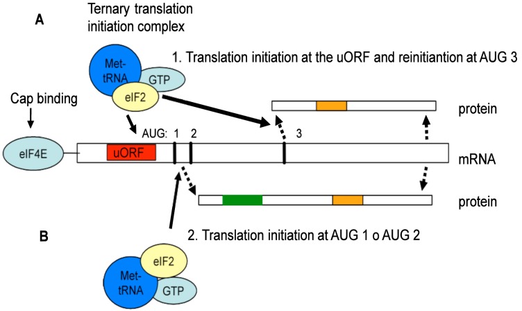 Fig. (4)