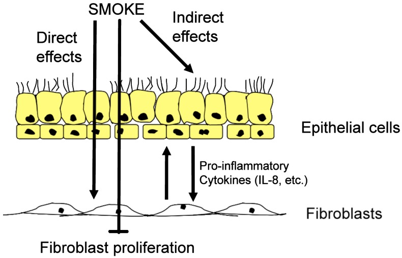 Fig. (2)