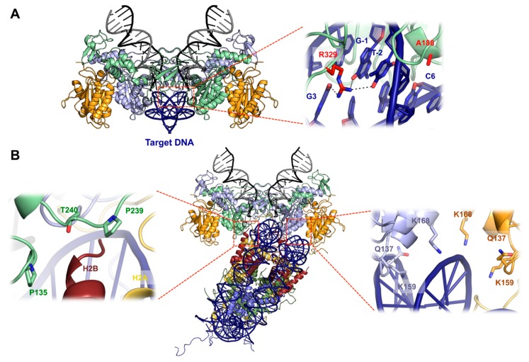 Figure 4