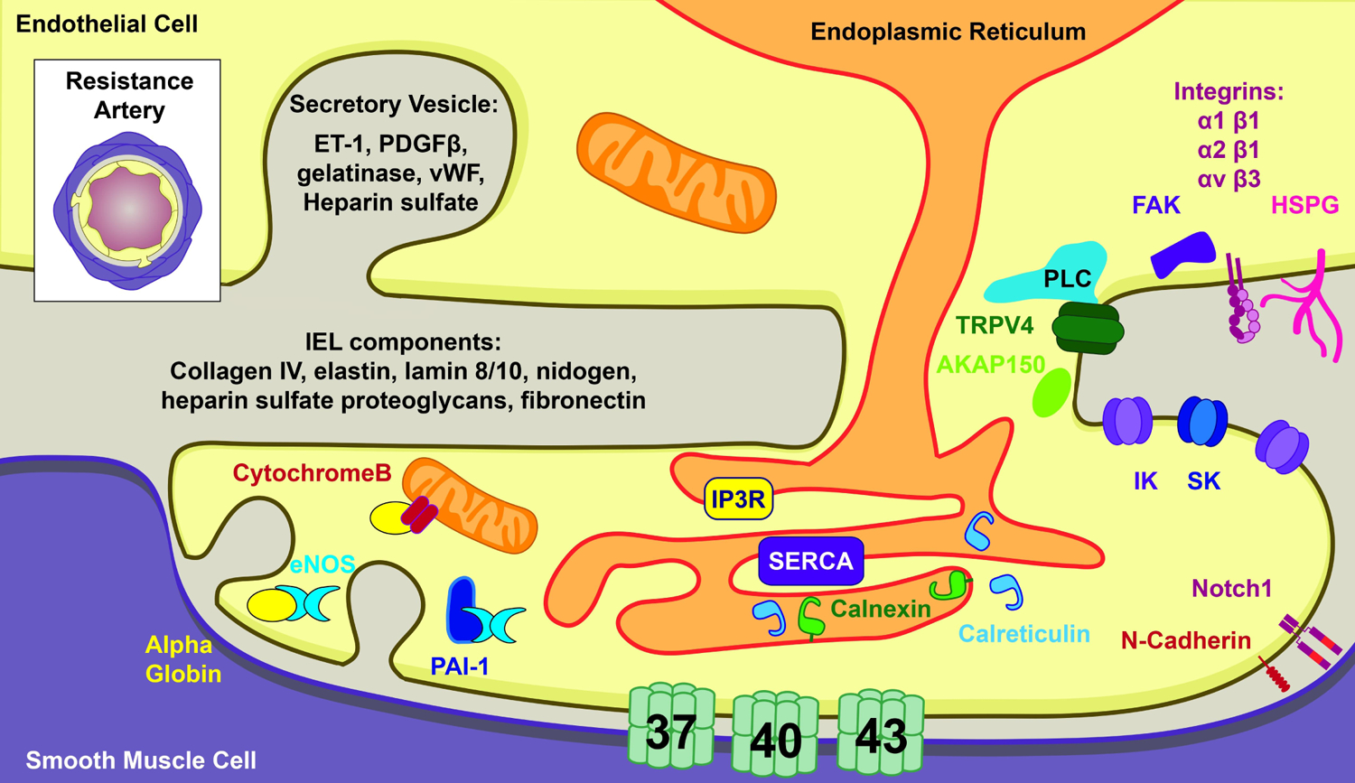 Figure 2.