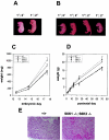 FIG. 2.