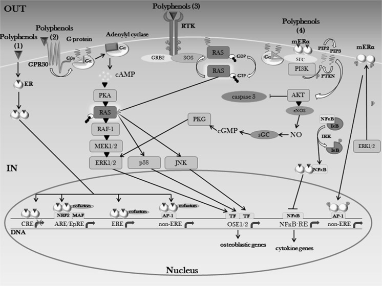 Fig. 3