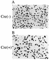 FIG. 5