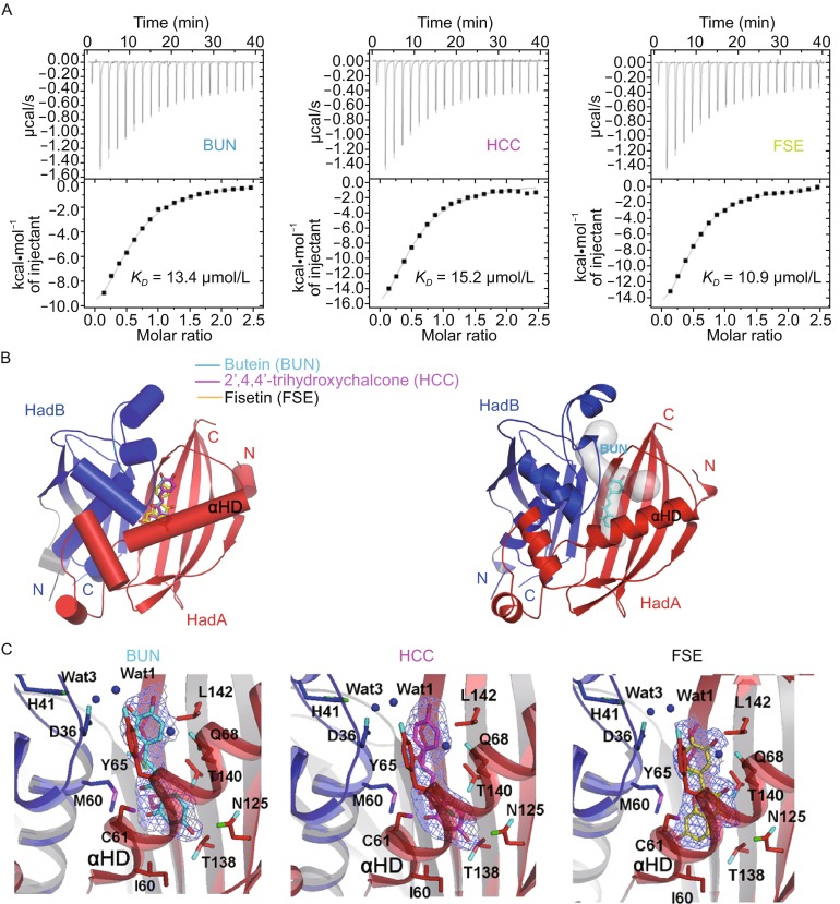 Figure 5