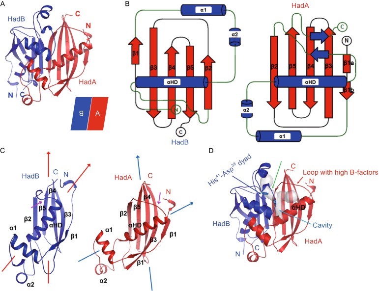 Figure 3