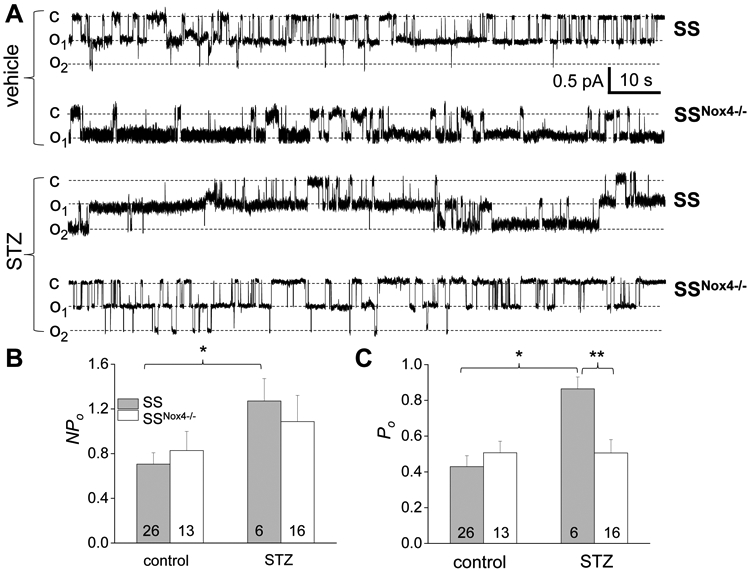 Figure 5.