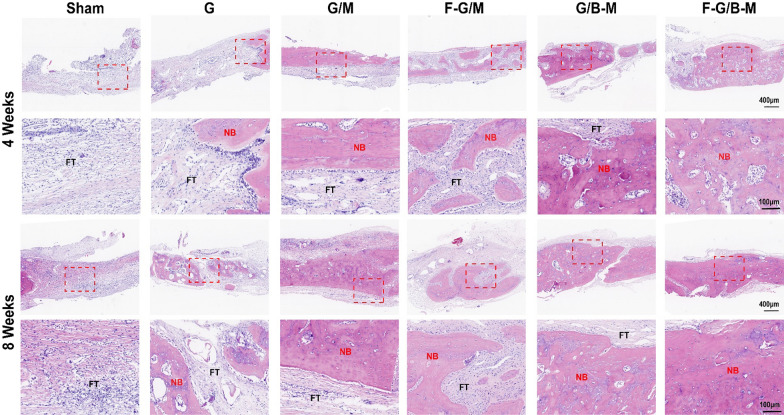 Fig. 7