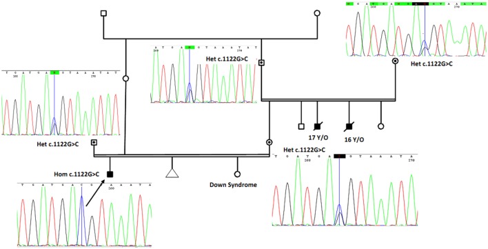 Figure 2