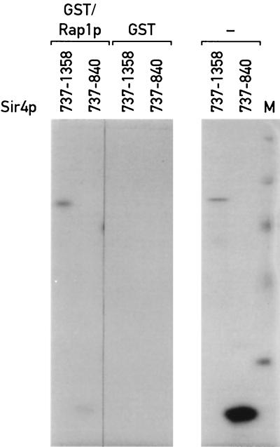 FIG. 5