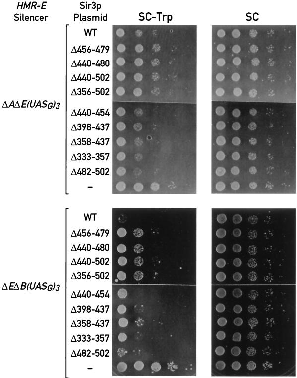 FIG. 3