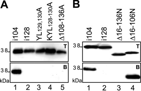 FIG. 8.