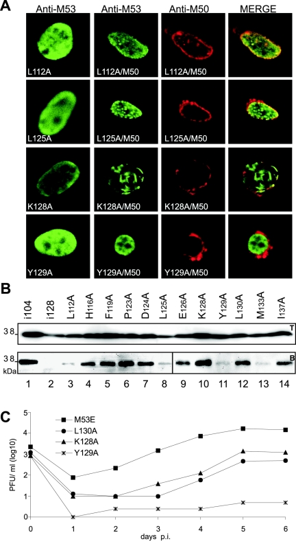 FIG. 7.