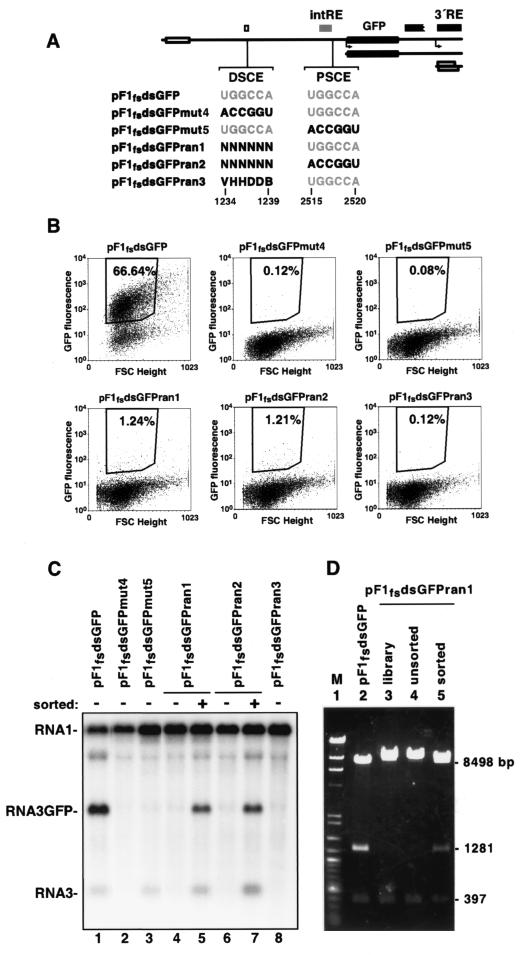 FIG. 7.