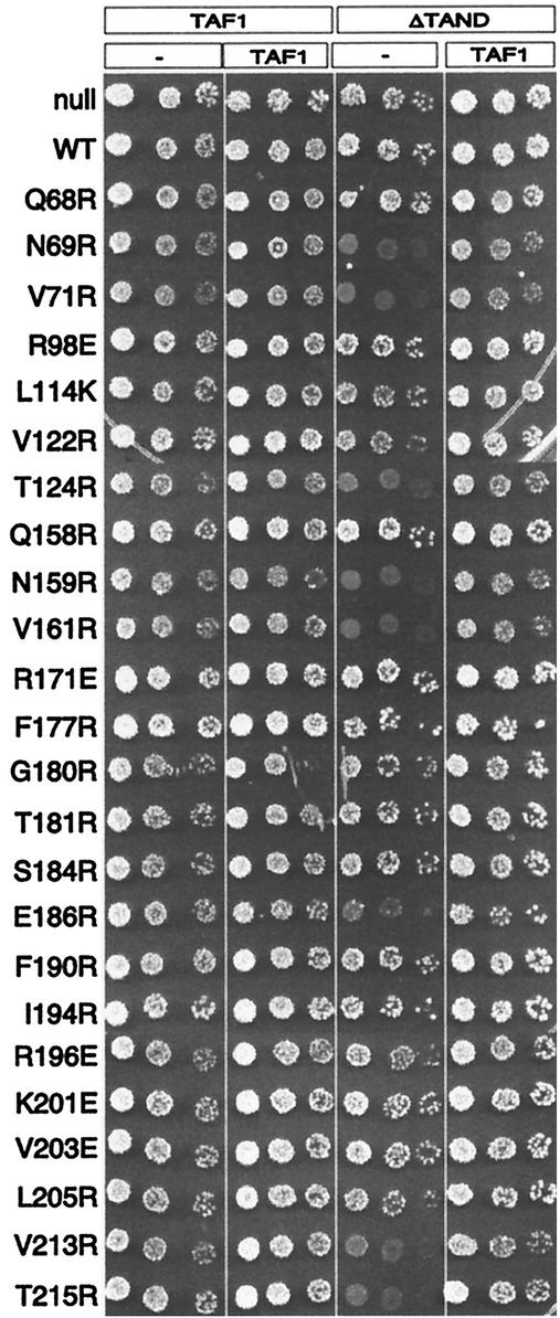 FIG. 11.