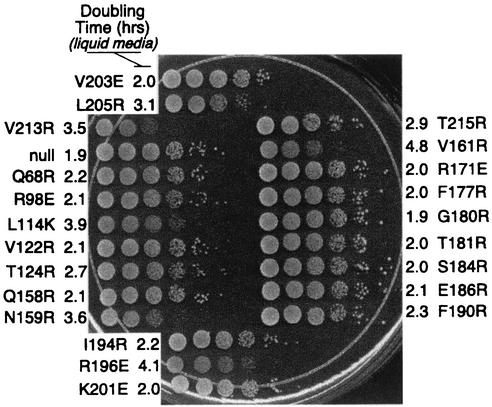 FIG. 10.