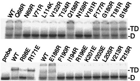 FIG. 6.