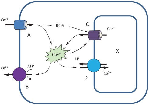 Figure 4