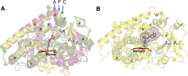 Fig. 4.