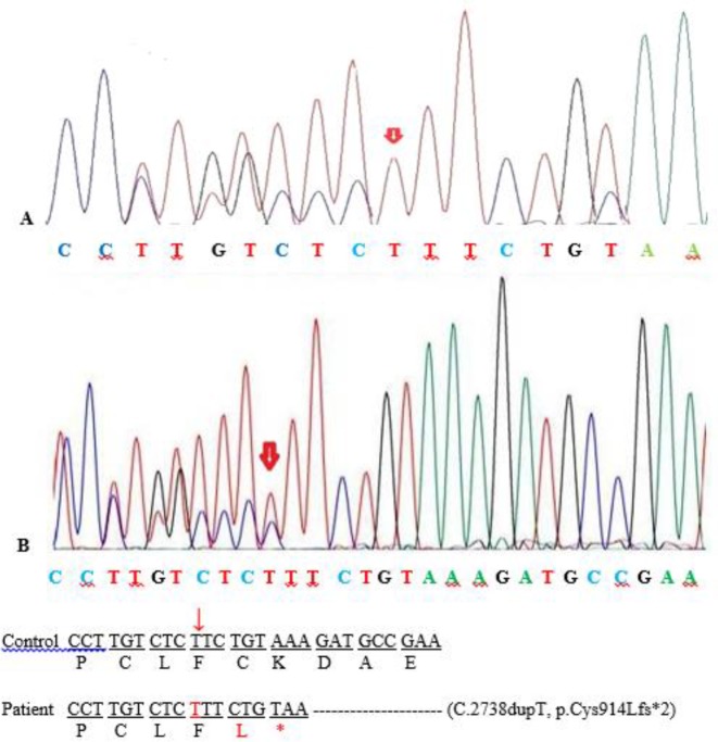 Fig. 2: