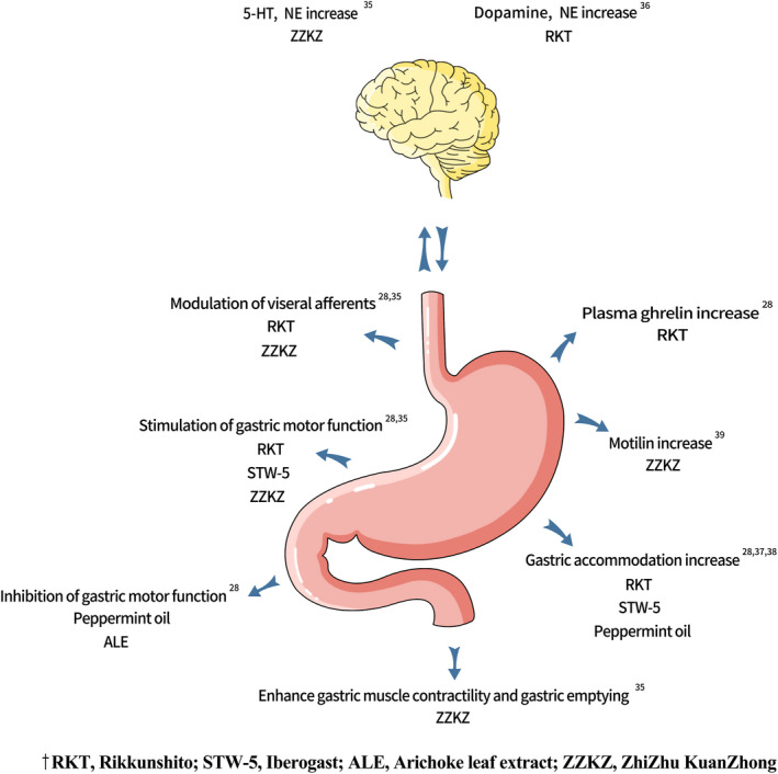 FIGURE 2