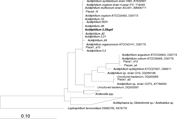 FIG. 1.