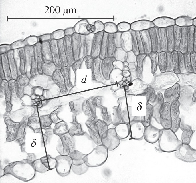 Figure 2.