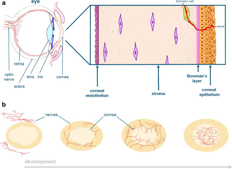 Fig. 4