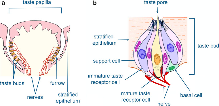 Fig. 2