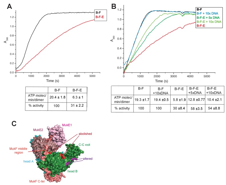 Figure 6.