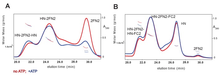 Figure 3—figure supplement 2.